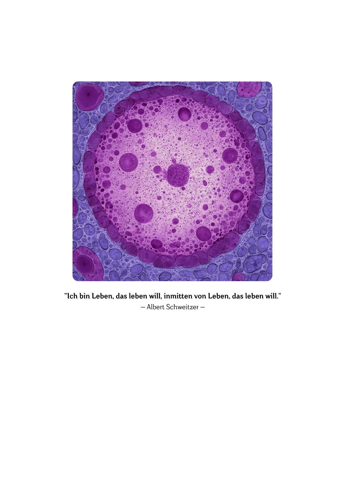 Zellensprache Leseprobe – Seite 2