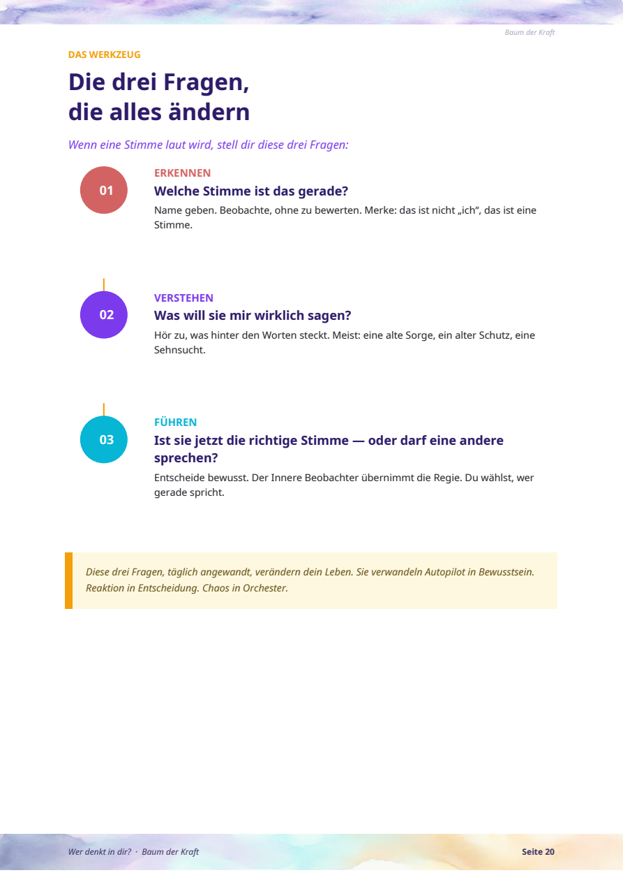 Die drei Fragen Infografik